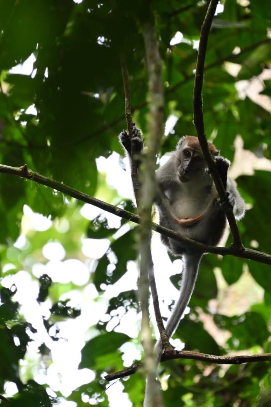Aa Homestay Mulu Esterno foto